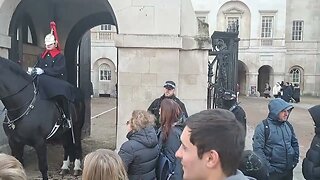 Get off the Reins Tourist backs off #thekingsguard