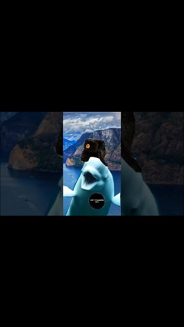 Whale Putin is very lonely