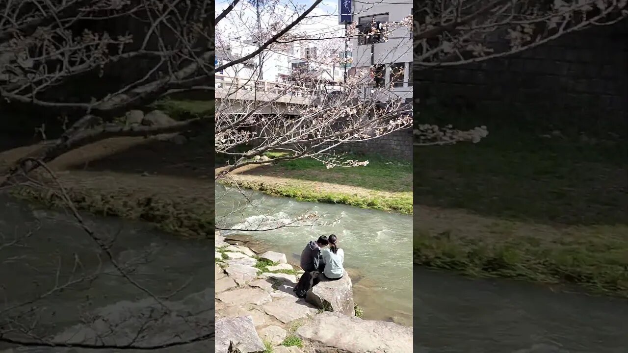 People enjoying life #2023 #newlife #welcome#sakura #japan