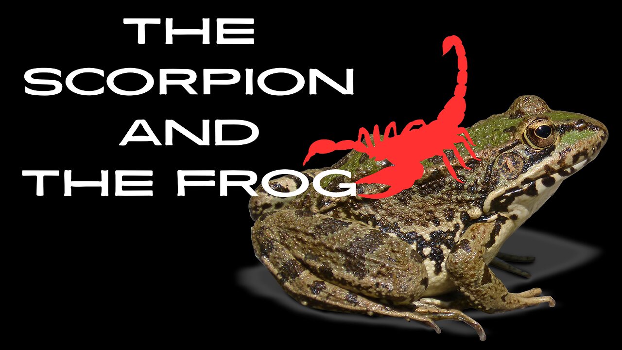 The Scorpion and The Frog