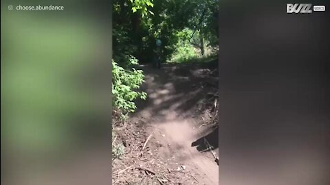 Uma descida radical que acaba no meio dos troncos