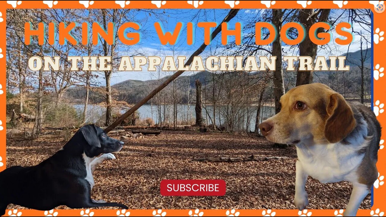 Hiking with dogs on the Appalachian Trail - Lake Watauga, Hampton Tennessee #at