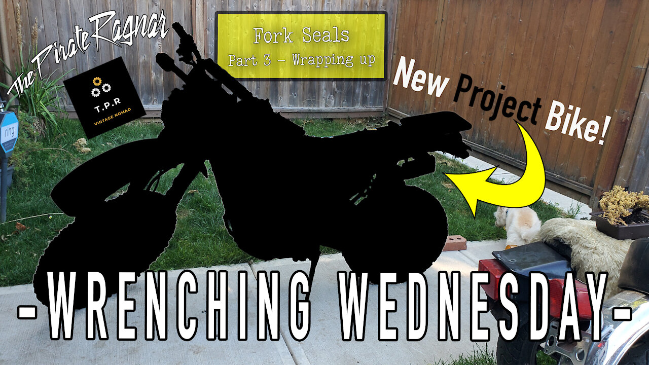 Finally done the FORK SEALS (Part 3) & 🏍 NEW PROJECT!! - Wrenching Wednesday Episode #18