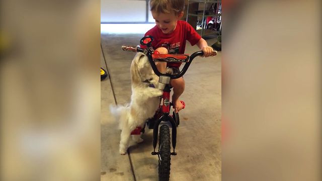 Sweet Pup Loves Kid's Bicycle Horn