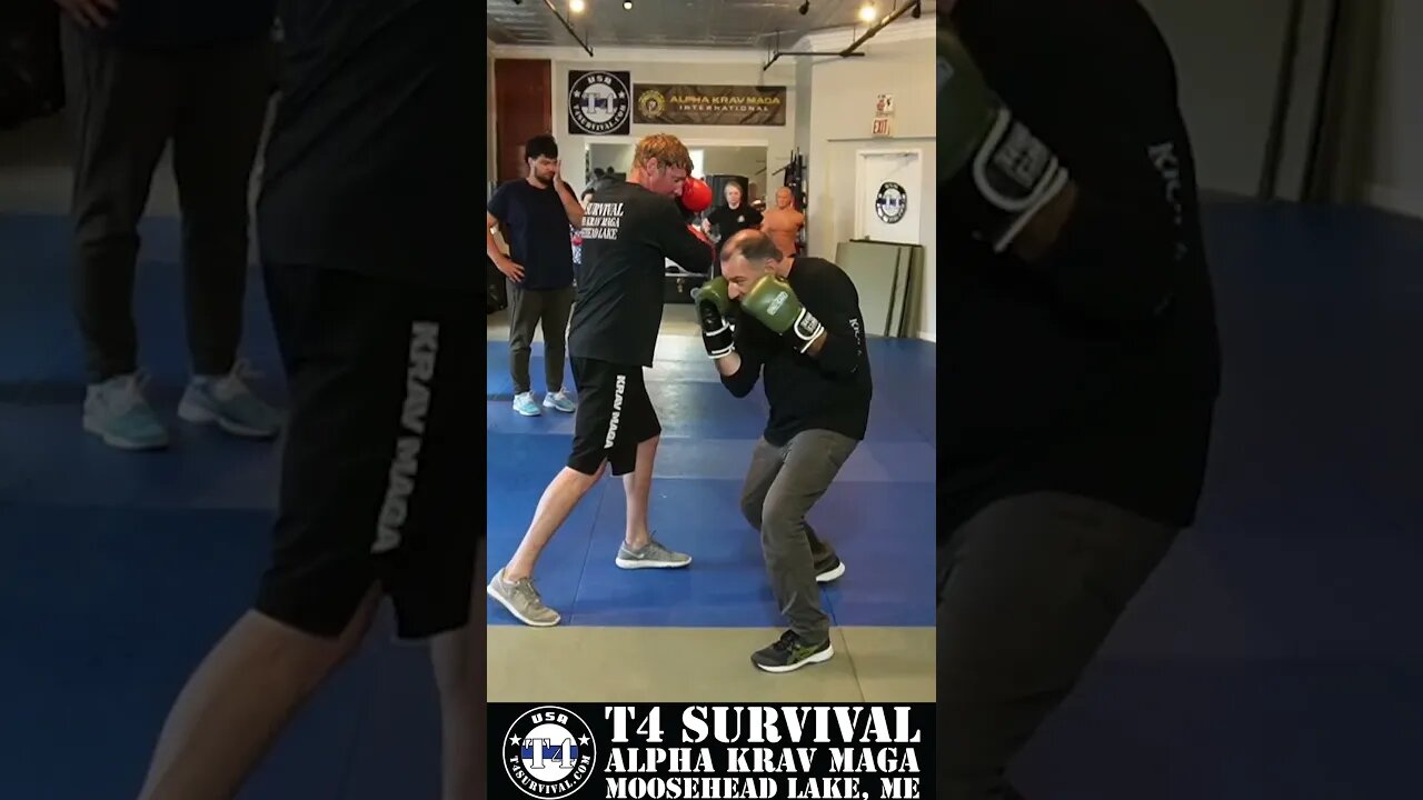 Liver Shot Set Up #selfdefense #kravmaga #jamiearute #martialarts #mma #boxing #ufc #fight #fighting