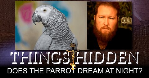 THINGS HIDDEN 198: Does the Parrot Dream at Night?