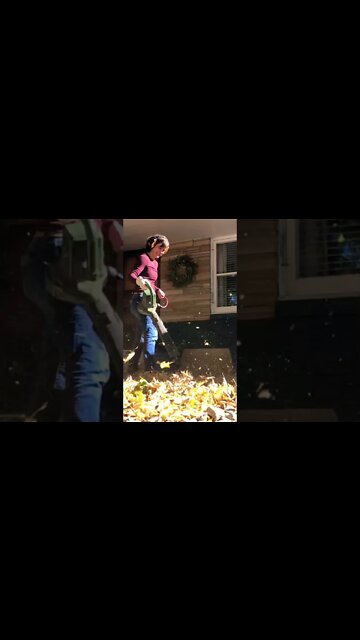 Best leaf blower this side of the Mississippi #shorts #powertoolwife #leafblower