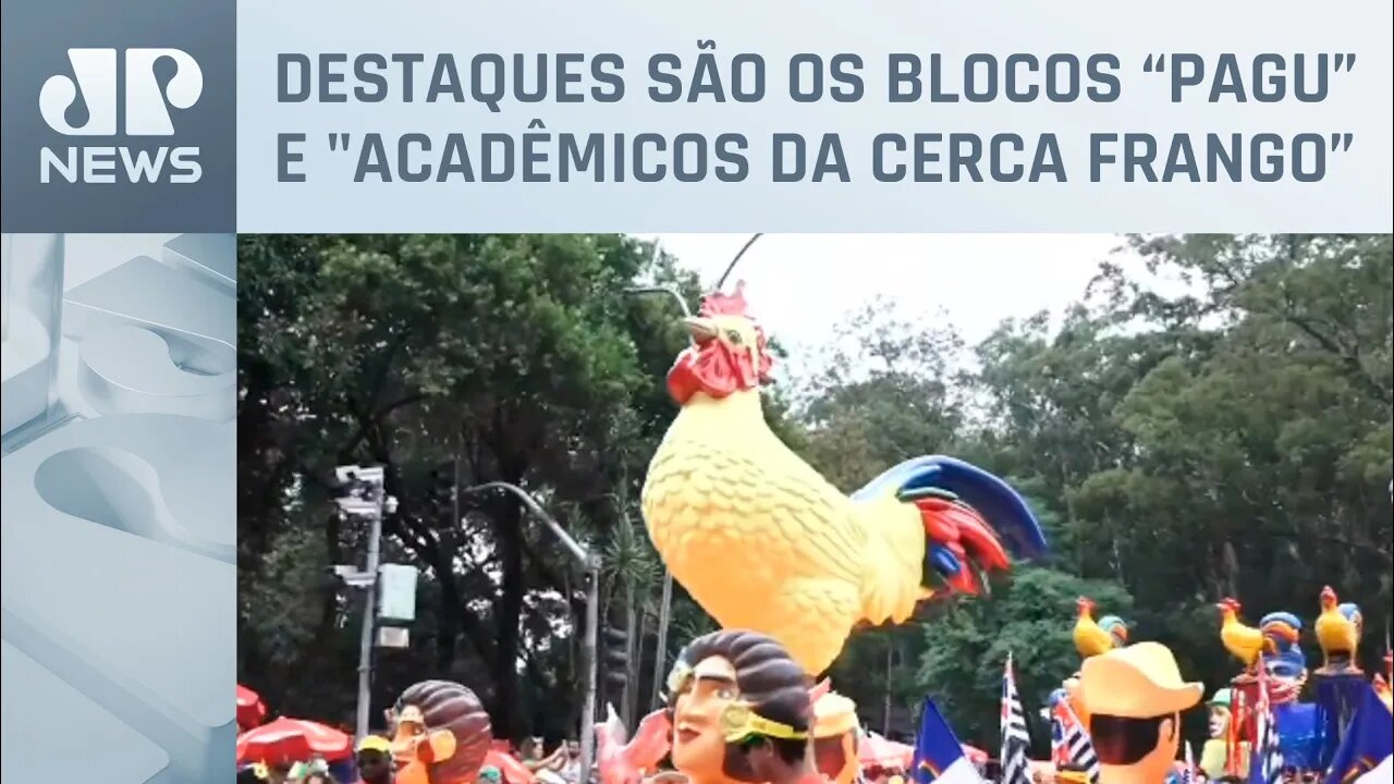 Foliões podem se divertir nos blocos de rua de SP no último dia do Carnaval