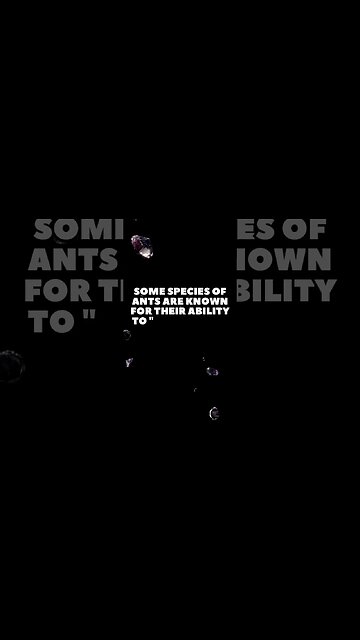 Incredible Random Facts That Will Expand Your Mind! [2023] #shorts #facts #viralshorts #fyp #life