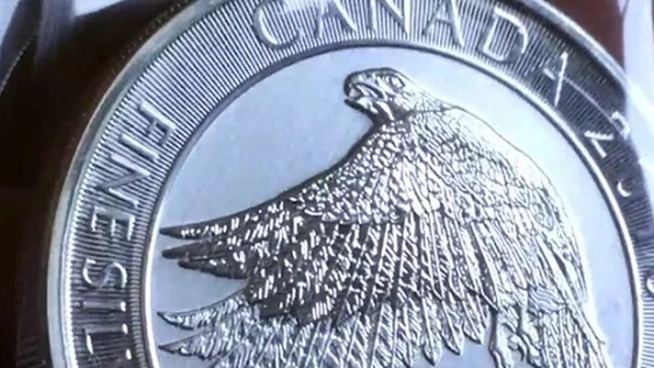 2016 1.5 Oz Silver Snow Falcon Coin