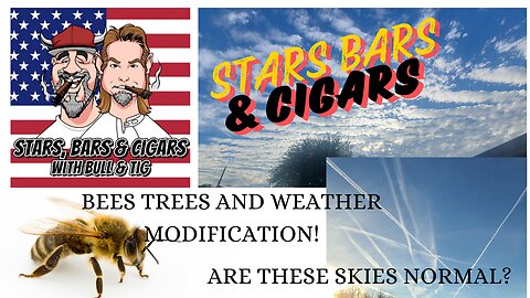 STARS BARS & CIGARS, #49, DO YOU THINK WE CAN LIVE WITHOUT THOSE BEES?