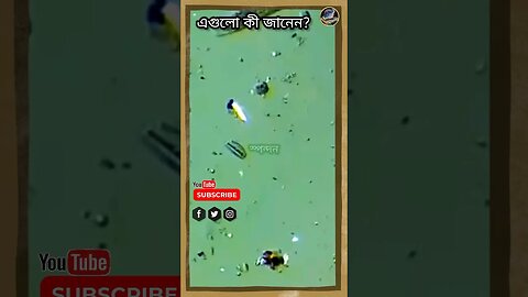 এটা কী জানেন? খাবার জল /#স্পন্দন #sciencefacts #viral #fact #shortsviral #sciencefacts #amazingfact