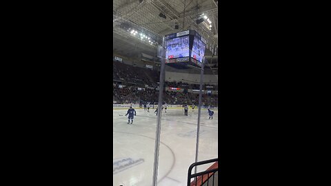 Stingrays Goal Horn Live