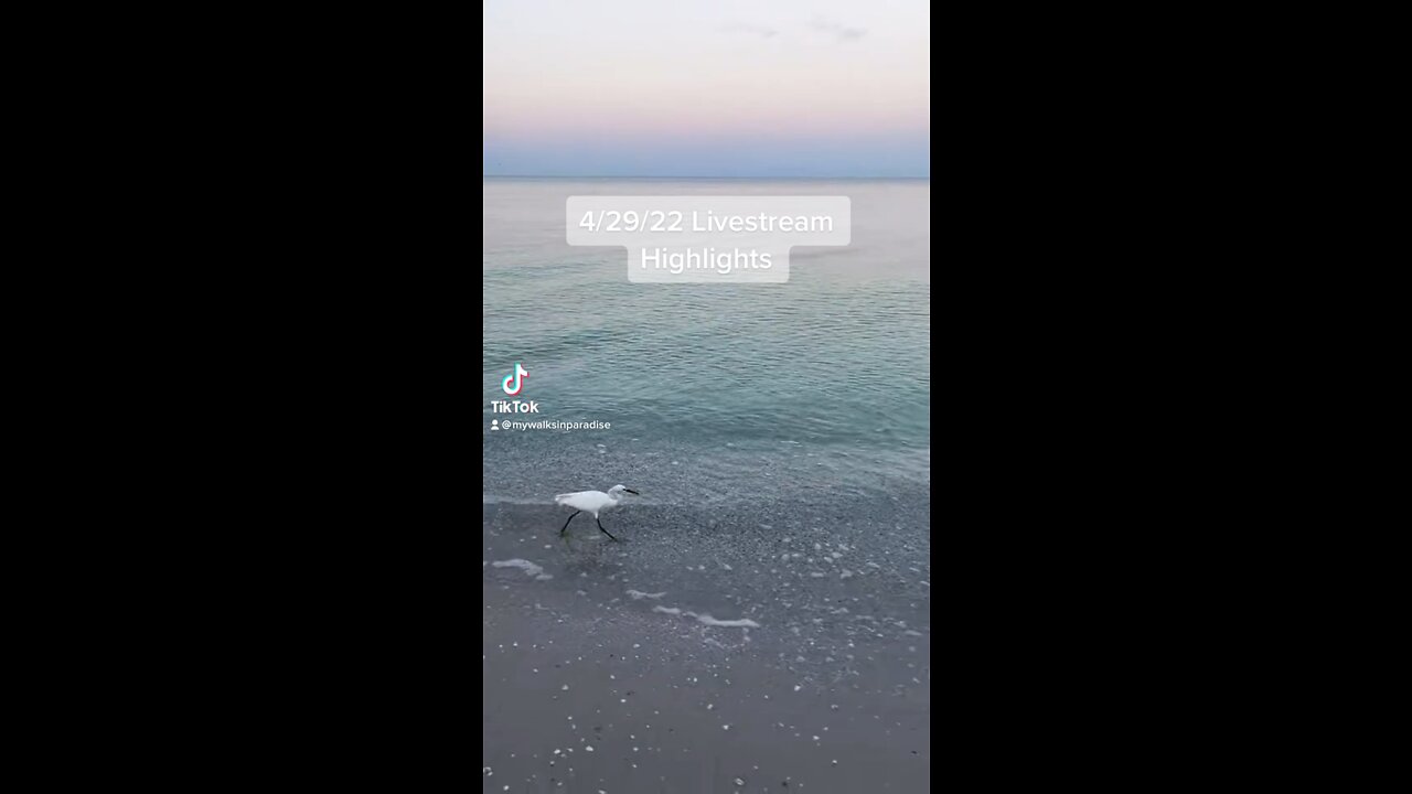 Livestream Highlights from my Sunrise Walk on Little Hickory Beach