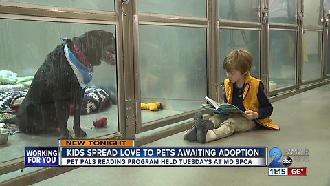 Kids spread their love of reading to Maryland SPCA pets awaiting adoption