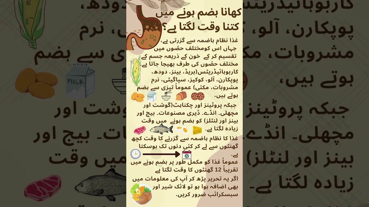 how much time required to digest food? Urdu Hindi