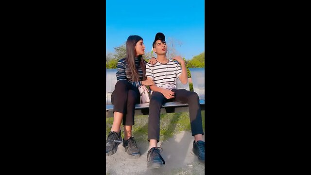 funny videos