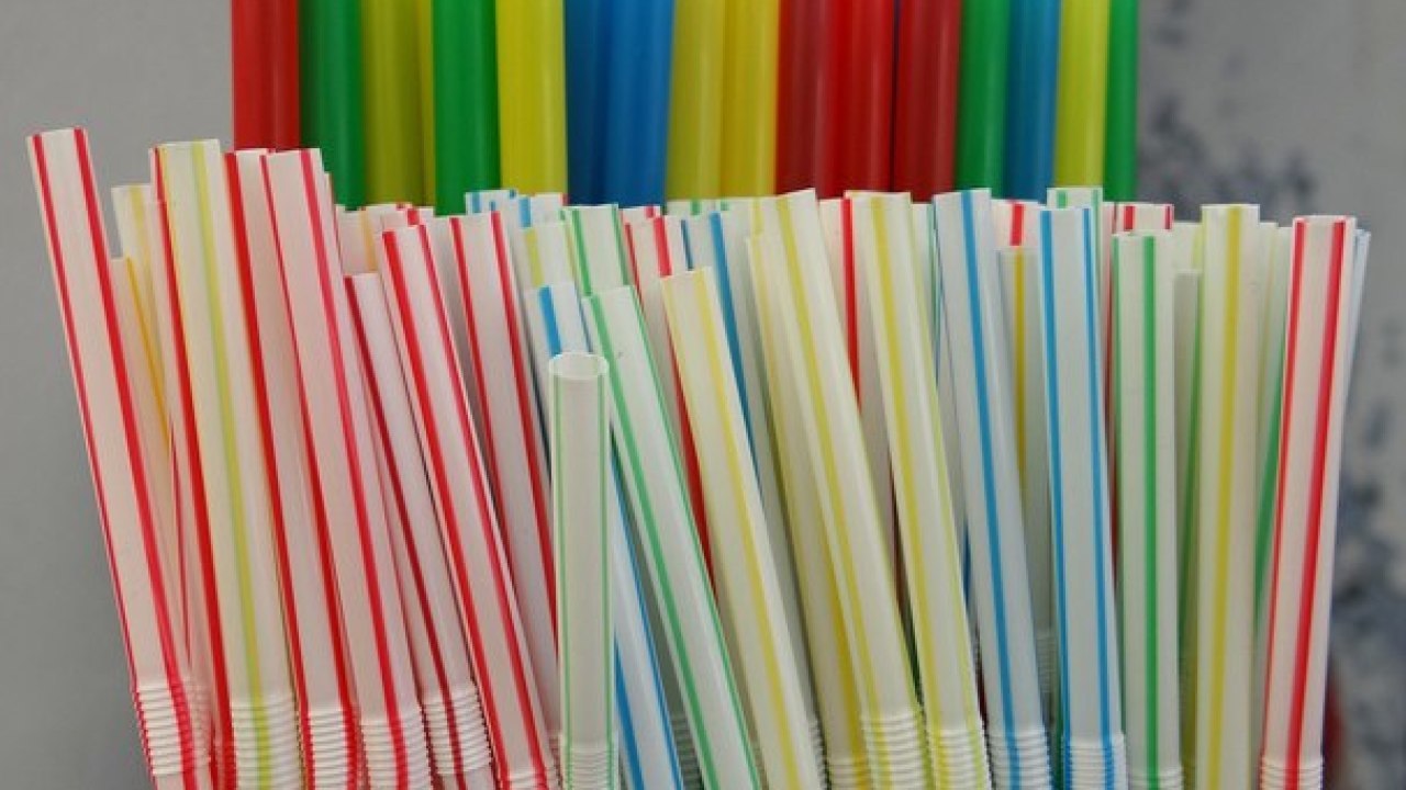 Delray Beach considering a ban on plastic straws in restaurants