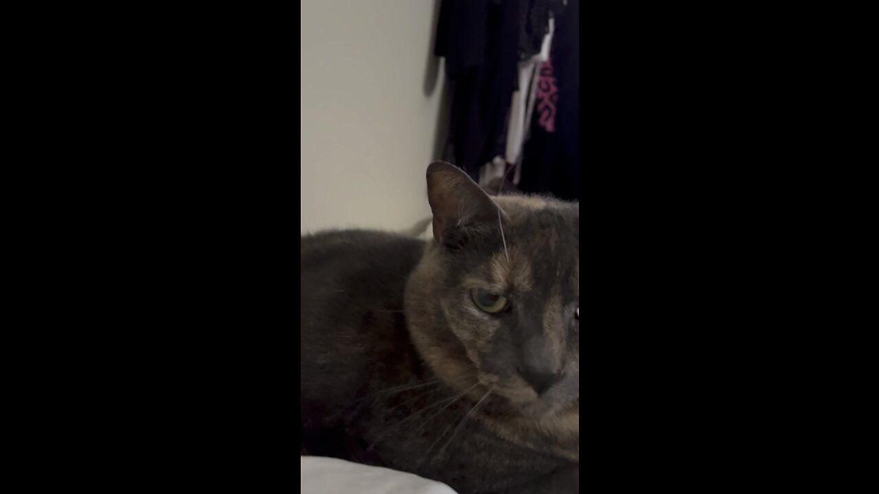 Today Tomorrow Always Forever Here Now