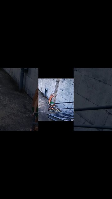 #freelineskates #epicperformance #skatepark #ytshortscanada #ytshorts #waterfall