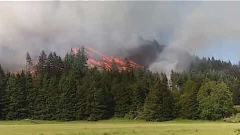 Incêndio no Oregon (EUA) surpreende população