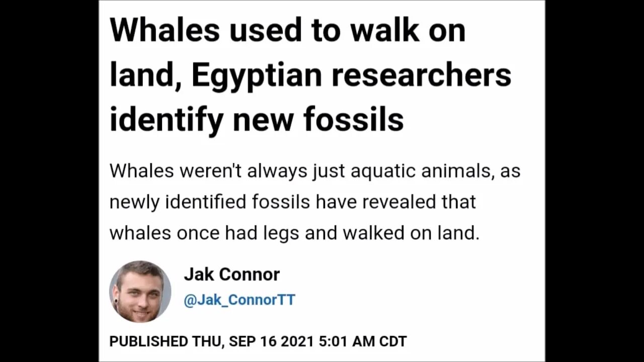 Whales Used To Walk On Land Paranormal News