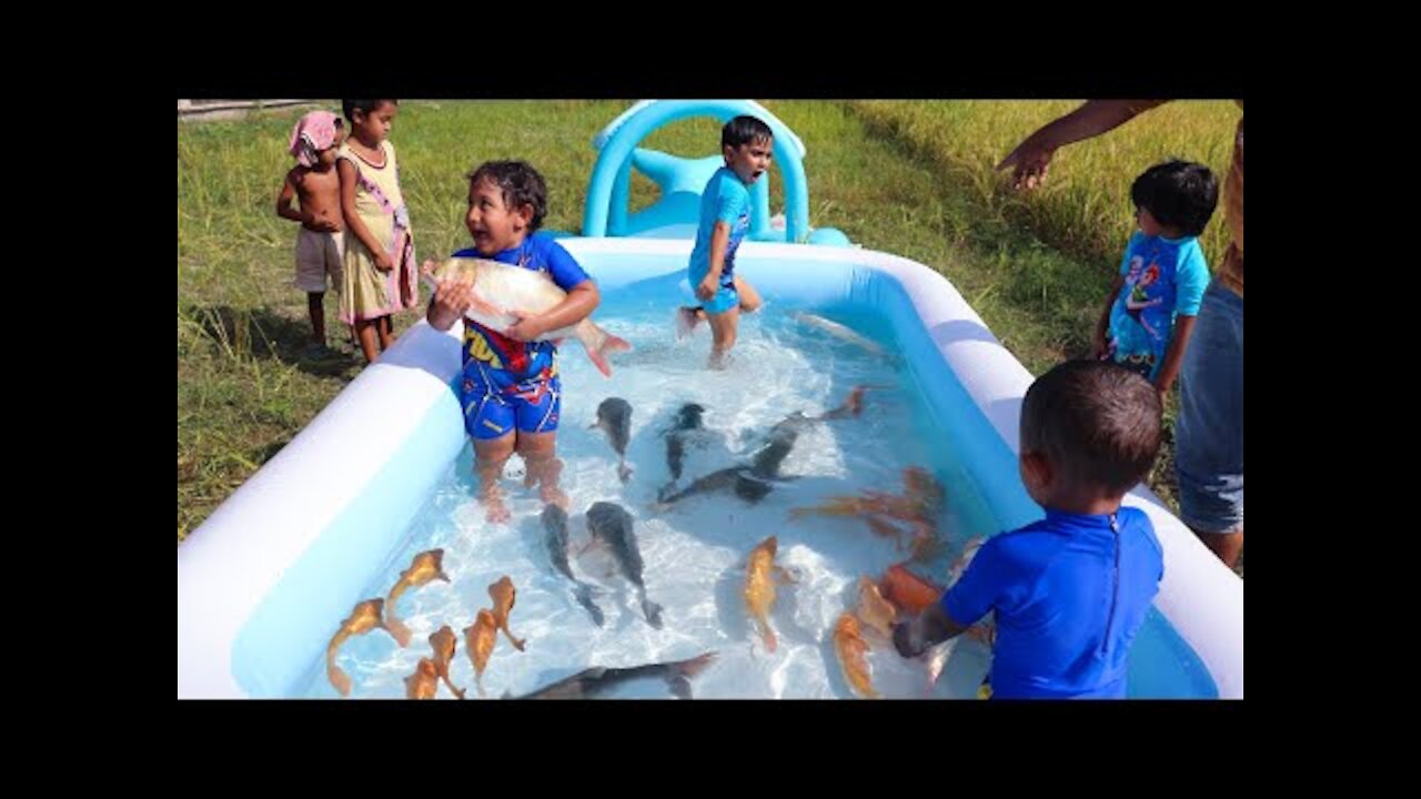 Sneyha, Arbin & Javan Fun Playing With Real Fish in Inflatable Swimming pool - Cute Sneyha's Show