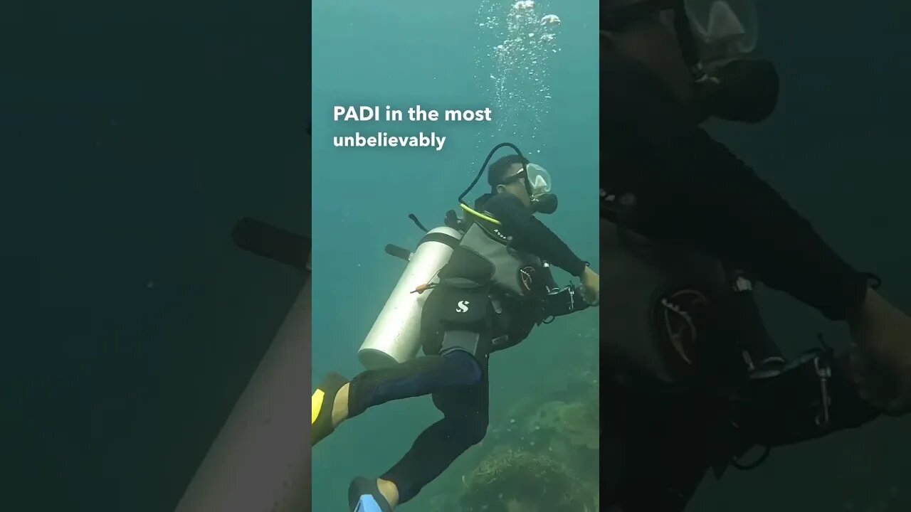How I Got My Scuba PADI 🐠
