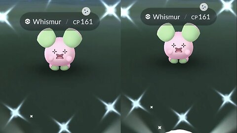 My Reaction to Shiny Whismur