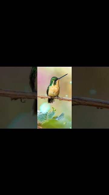 1 Minute Meditation I EMBRACE A CHEERFUL LIFE