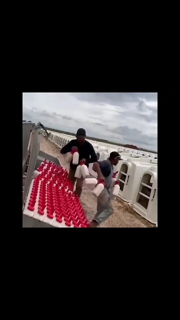 How Fast It Going! #dailyhackness #Shorts #ytshorts #challenges #doityourself #useful