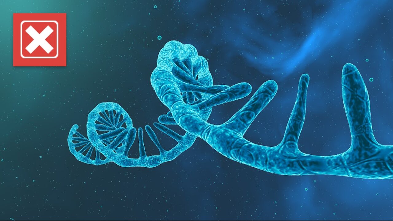 POKAZUJĘ PRAWDĘ CO SIĘ STANIE JAK TO PRZYJMIESZ...