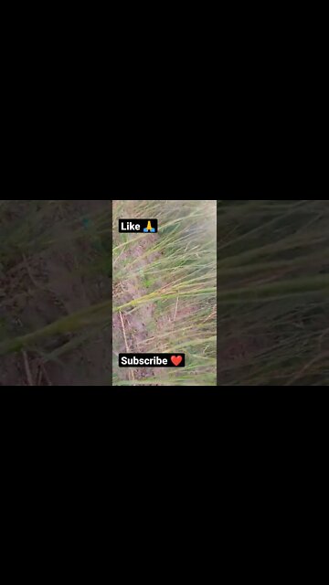 gadndagana 🤨🙏☺️shorts,#shorts,joke fun shorts,minecraft shorts,short,joke fun shorts youts #shorts