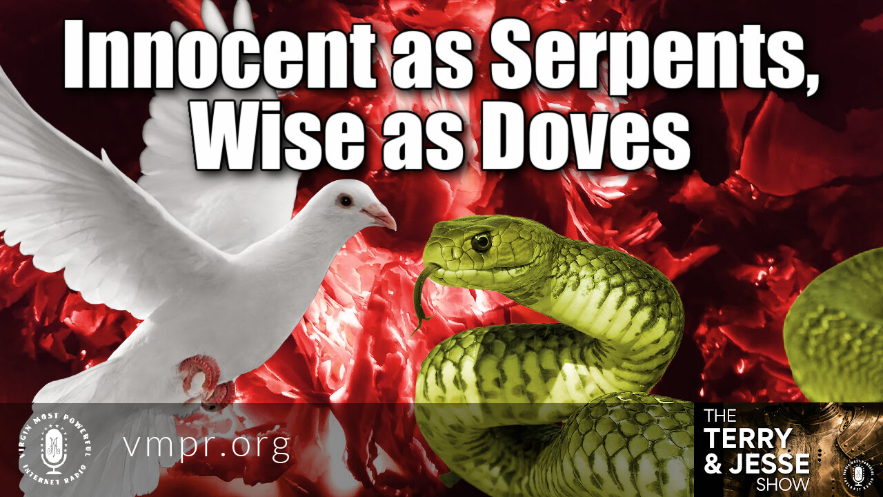 08 Sep 21, The Terry & Jesse Show: Innocent as Serpents, Wise as Doves