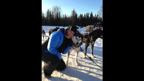 Dog Sledding - Fairbanks Alaska 2015