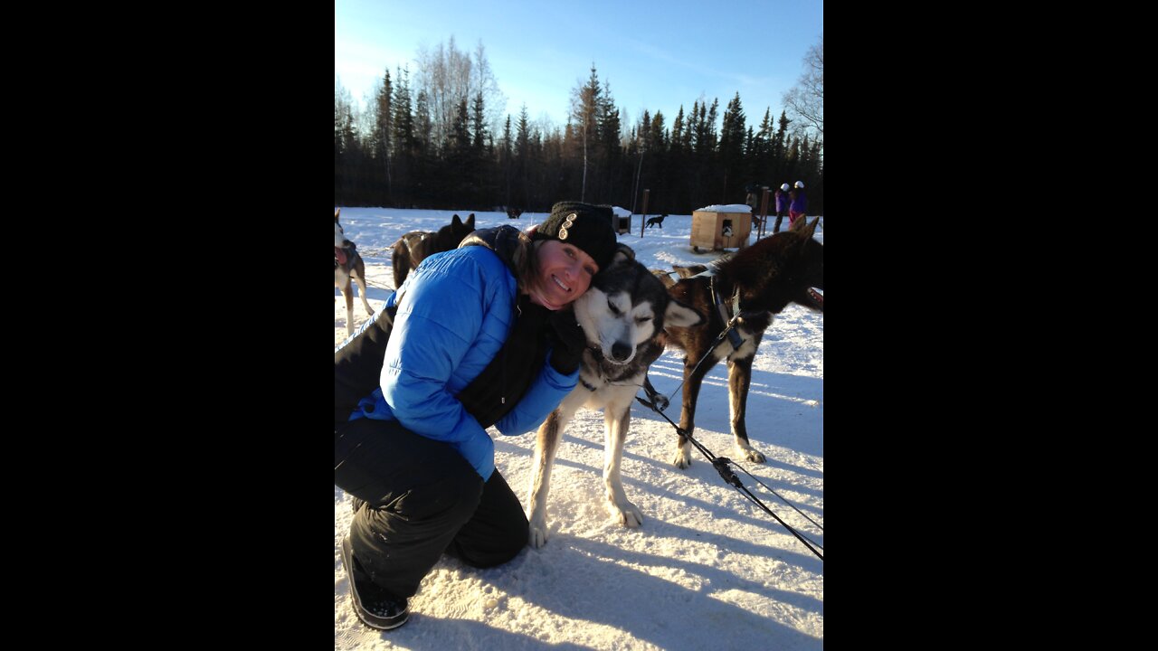 Dog Sledding - Fairbanks Alaska 2015