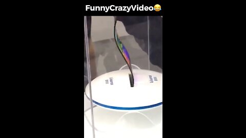 Mr FunnyCrazyVideo😂 Just Incredible Video Funny and Crazy #Like Follow for Follow 🥰