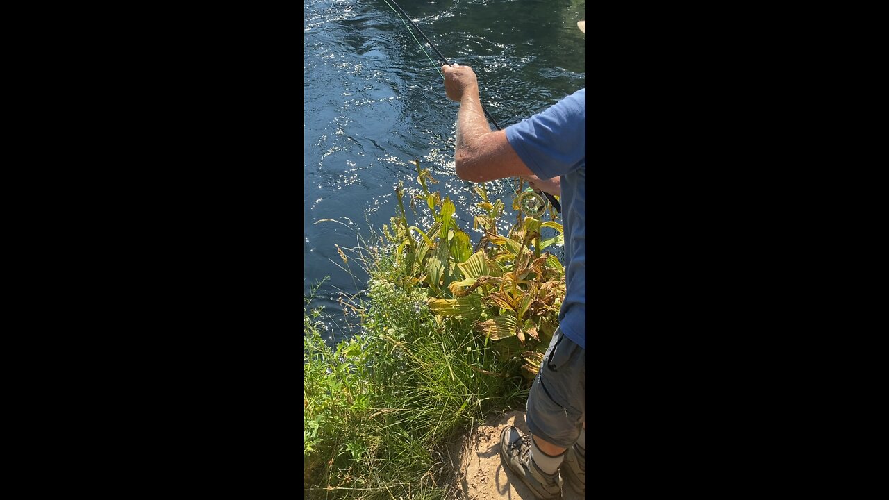 FlyFishing the Metolius.