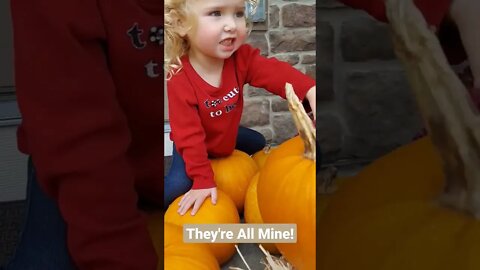 10 Pumpkins for Me 🎃