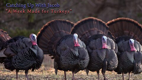Catching up with Jacob: A Week Made for Turkeys
