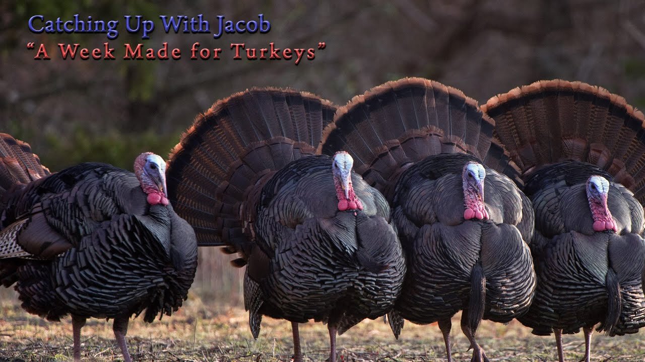 Catching up with Jacob: A Week Made for Turkeys