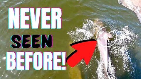 Dolphin Adventure and Loads of Fish, Ep-157