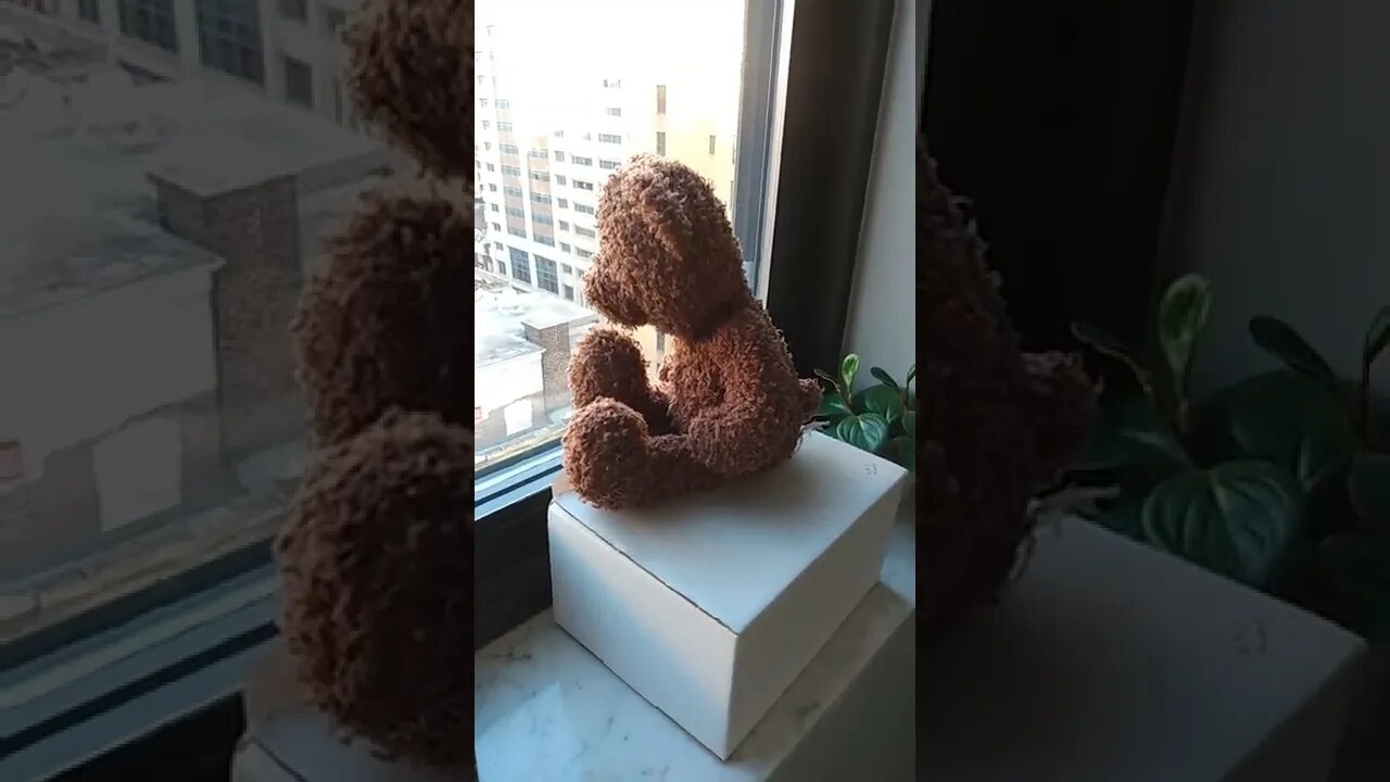 We miss and love you Sharon for helping us feel loved, beautiful and strong. Namaste 💗