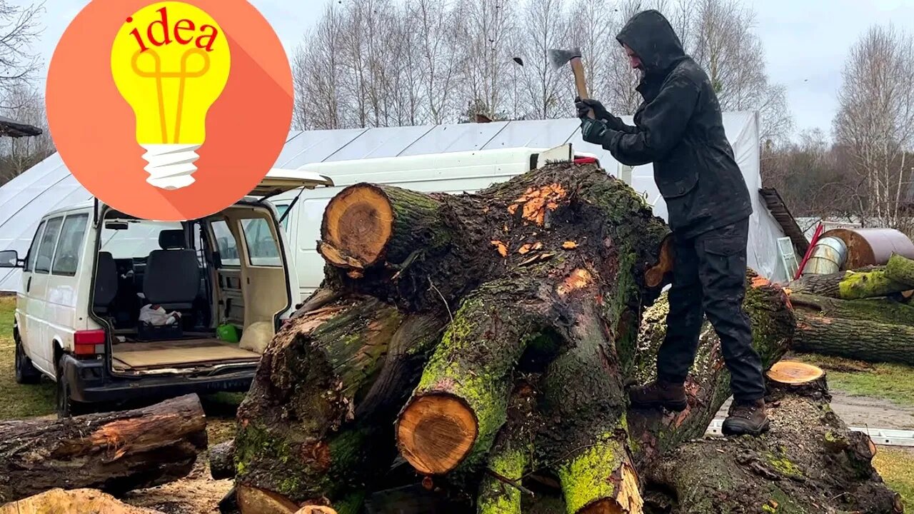 None of you will guess what we made from this tree
