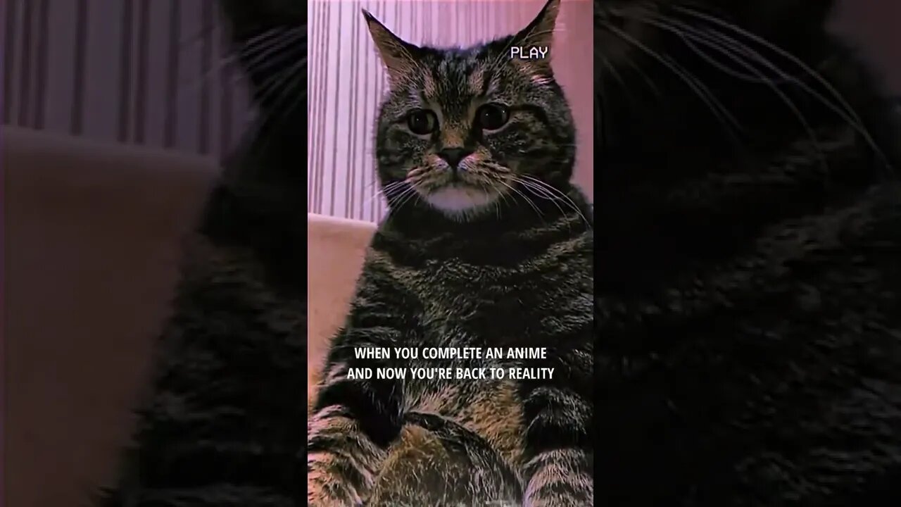 Any recommendations for an anime very similar to Naruto? (Without Boruto) #shorts #shortsvideo