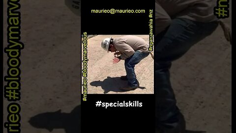 #maurieo #shorts YOUR INNER TURTLE