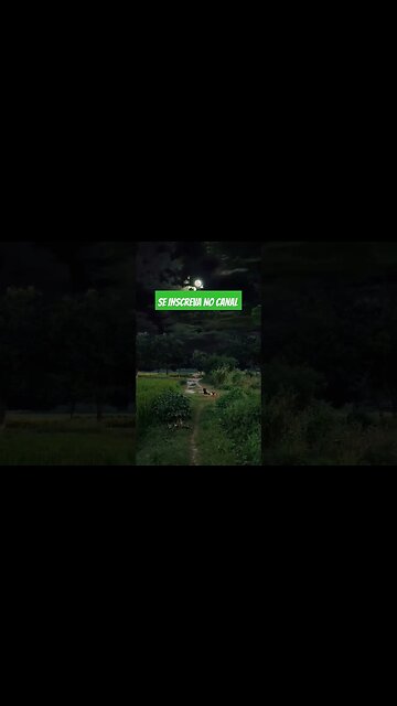 Creia nessa Palavra!