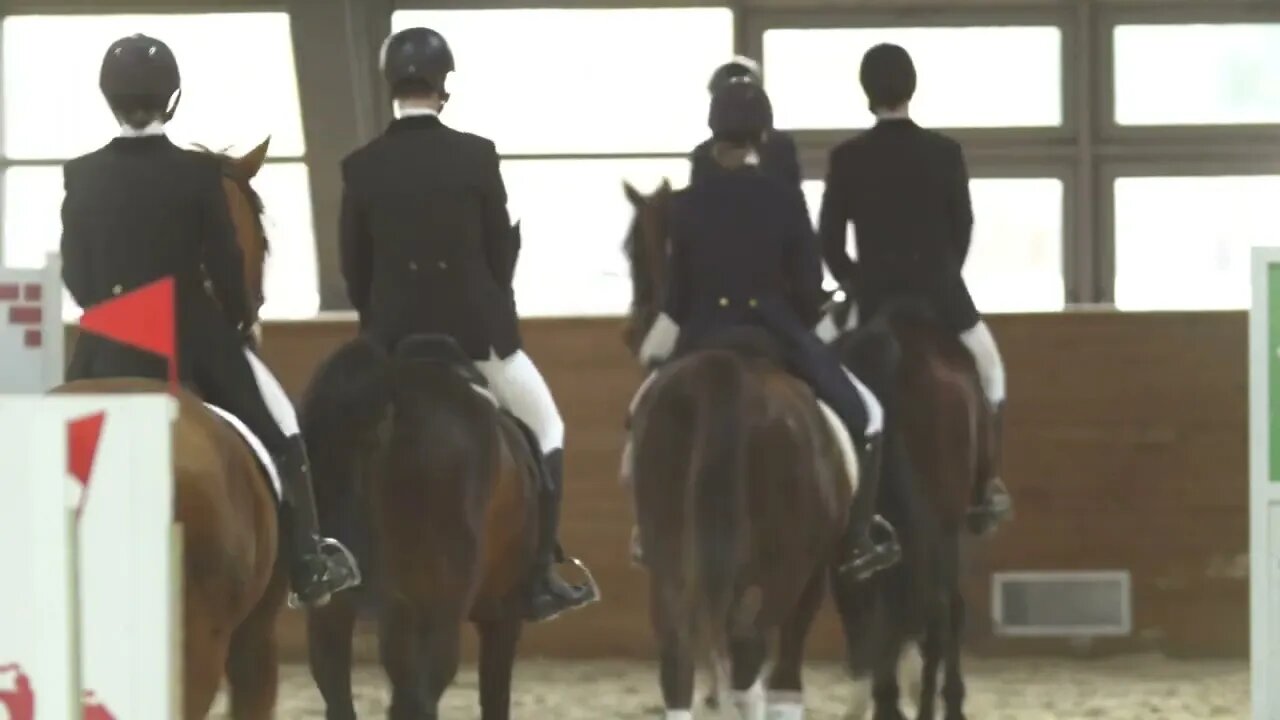 Equestrian riders on bay stallions in the equestrian arena