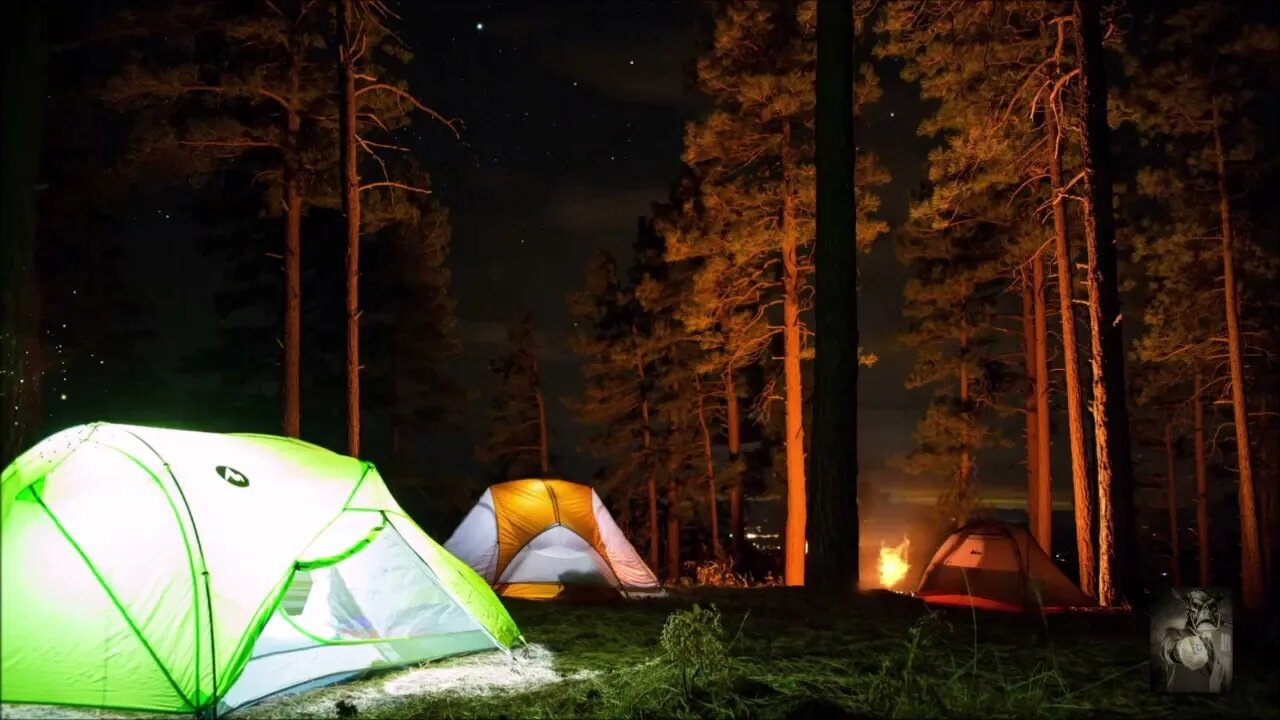 Campfire in the Woods. #whitenoise Sounds that can help with relaxing and more. #asmr