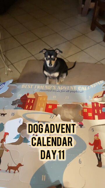 Himalayan Dog Chew 24 Joyful Days Dog Advent Calendar Day 11 #christmas #dogtreats #adventcalendar